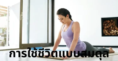 การใช้ชีวิตแบบสมดุล